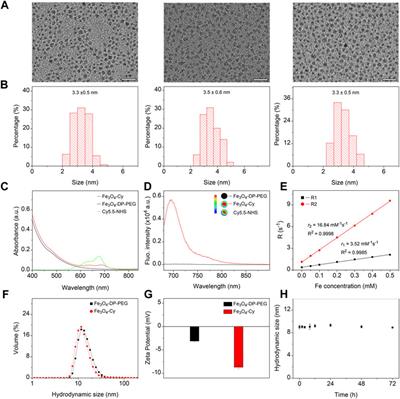Exploring atherosclerosis imaging with contrast-enhanced MRI using PEGylated ultrasmall iron oxide nanoparticles